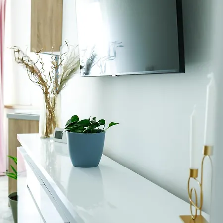 公寓 Zig Zag Zen Mamaia Nord