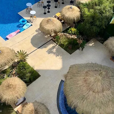 Zig Zag Zen Mamaia Nord