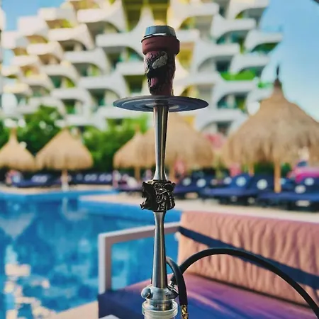 Zig Zag Zen Mamaia Nord 那沃达利